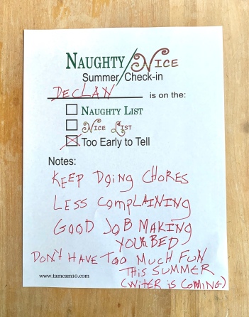 Elf on the Shelf Summer Check-in | Naughty List | Nice List | Too Early to Tell | tamcam10 |